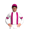 Jockey Silk