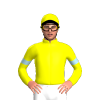 Jockey Silk