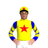Jockey Silk