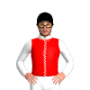 Jockey Silk