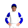 Jockey Silk