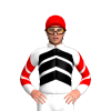 Jockey Silk