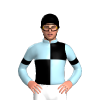 Jockey Silk