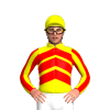 Jockey Silk