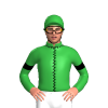 Jockey Silk