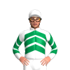 Jockey Silk