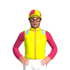 Jockey Silk