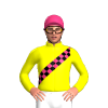 Jockey Silk