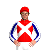 Jockey Silk
