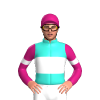Jockey Silk