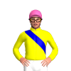 Jockey Silk