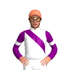 Jockey Silk