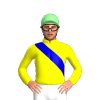 Jockey Silk