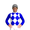 Jockey Silk