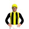Jockey Silk