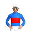 Jockey Silk