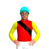 Jockey Silk