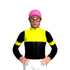 Jockey Silk