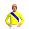 Jockey Silk