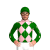 Jockey Silk