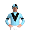 Jockey Silk