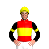 Jockey Silk