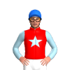 Jockey Silk