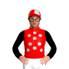 Jockey Silk