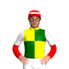 Jockey Silk