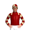Jockey Silk