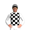 Jockey Silk