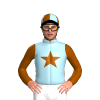 Jockey Silk
