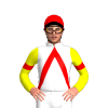 Jockey Silk