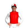 Jockey Silk