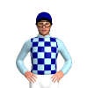 Jockey Silk