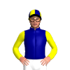 Jockey Silk