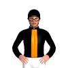 Jockey Silk