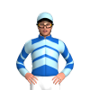 Jockey Silk