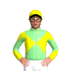 Jockey Silk