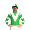 Jockey Silk