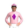 Jockey Silk