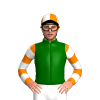 Jockey Silk