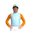 Jockey Silk