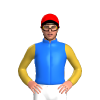 Jockey Silk