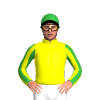 Jockey Silk