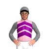 Jockey Silk