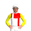 Jockey Silk
