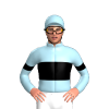 Jockey Silk