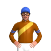 Jockey Silk
