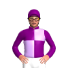 Jockey Silk